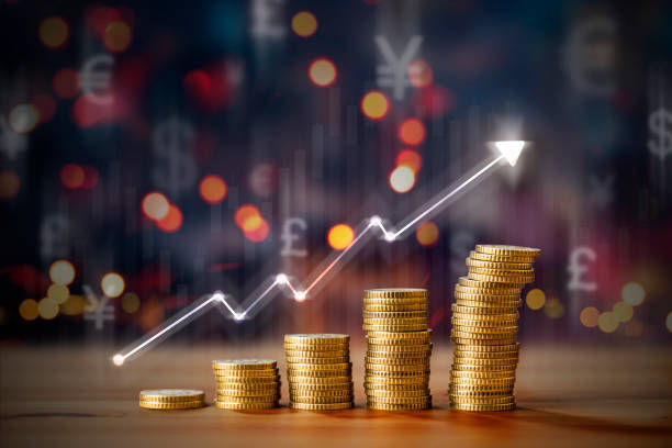 独家分享！智利柑橘进口报关代理需要办理哪些手续？